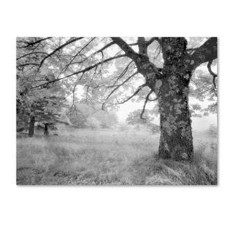 Trademark Fine Art Mike Jones Photo 'Journeys End' Canvas Art, 18x24 ALI17776-C1824GG